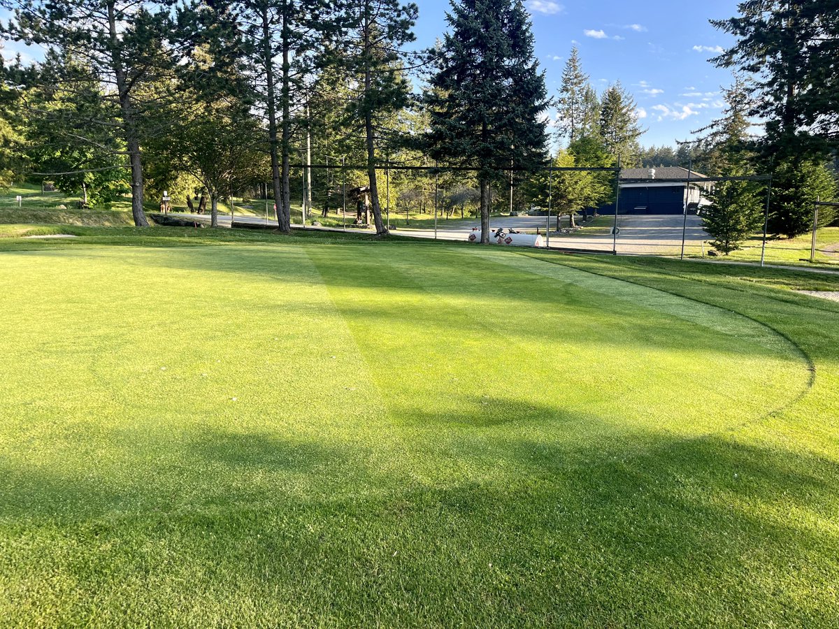 A very hot week for the month of May 🫠 Skipped a few cuts to help them along… the fairy rings are popping #pesticidefree