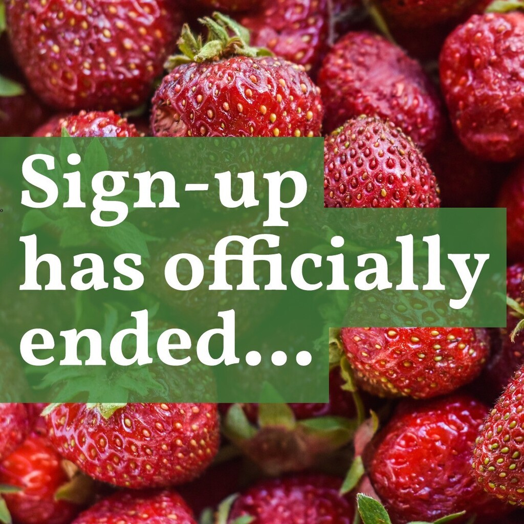 StantonStCSA's tweet photo. Our 2023 summer sign-up has officially ended. Thanks to everybody who joined us for this season. We’ll see you soon when our distribution starts on June 1, at the M’Finda Kalunga community garden on Rivington between Forsyth &amp; Christie St. Pick-up time i… https://t.co/HPBtB0HUyV https://t.co/aFOXWjkw3N