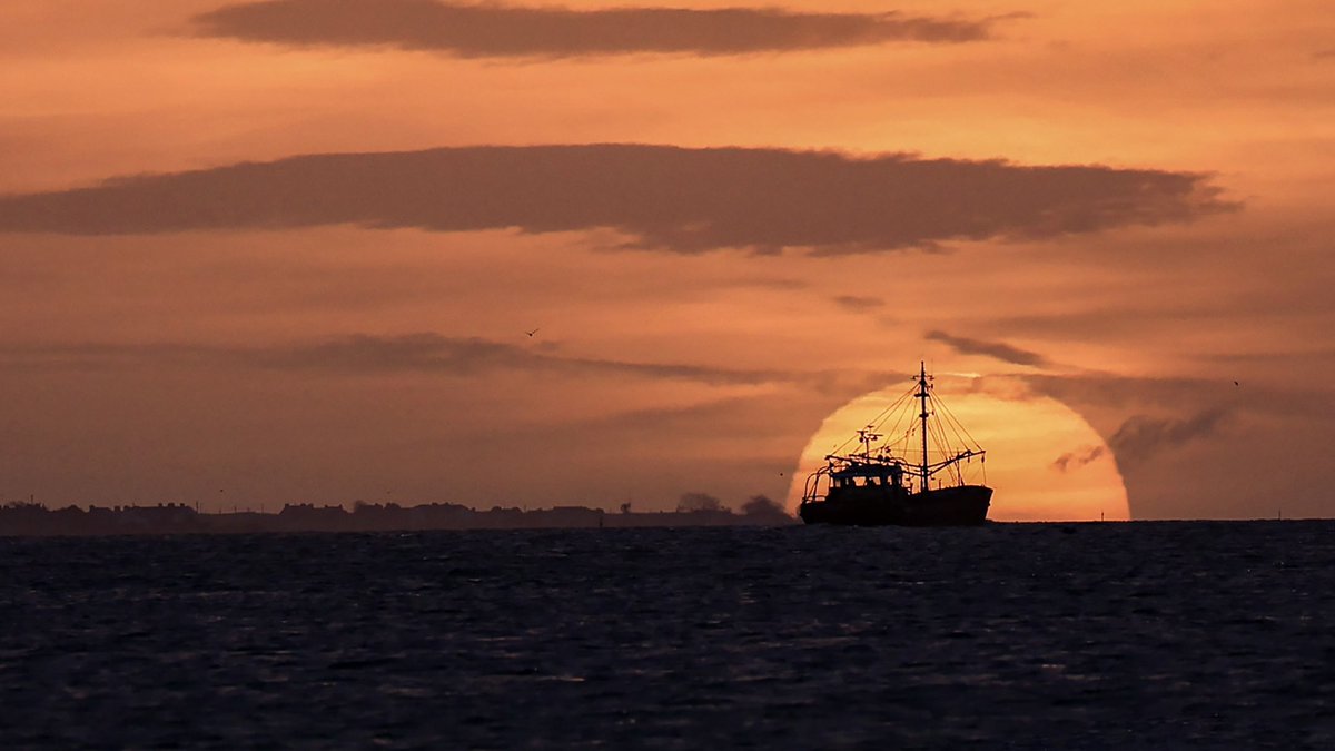 AnnBruen's tweet photo. Series of photos of the Maria Lena passing by the rising sun over Carlingford Lough. Taken from Omeath slip on 30th January
#carlingfordlough #fishingboat #sunrise #luckytiming https://t.co/3Rj4LtfgYQ