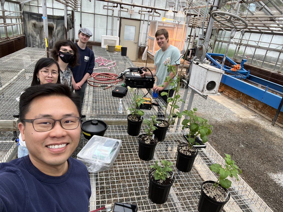 haploidgenomics's tweet photo. Hyperspectral reflectance scanning and viral RNA day in the greenhouse with the crew, we lucked out with overcast weather today 🌈🌥️🥔🧬🦠 @UMaine ⁦@HostVirus_BII⁩ ⁦@UMainePotato⁩ https://t.co/5egQWu0sxq