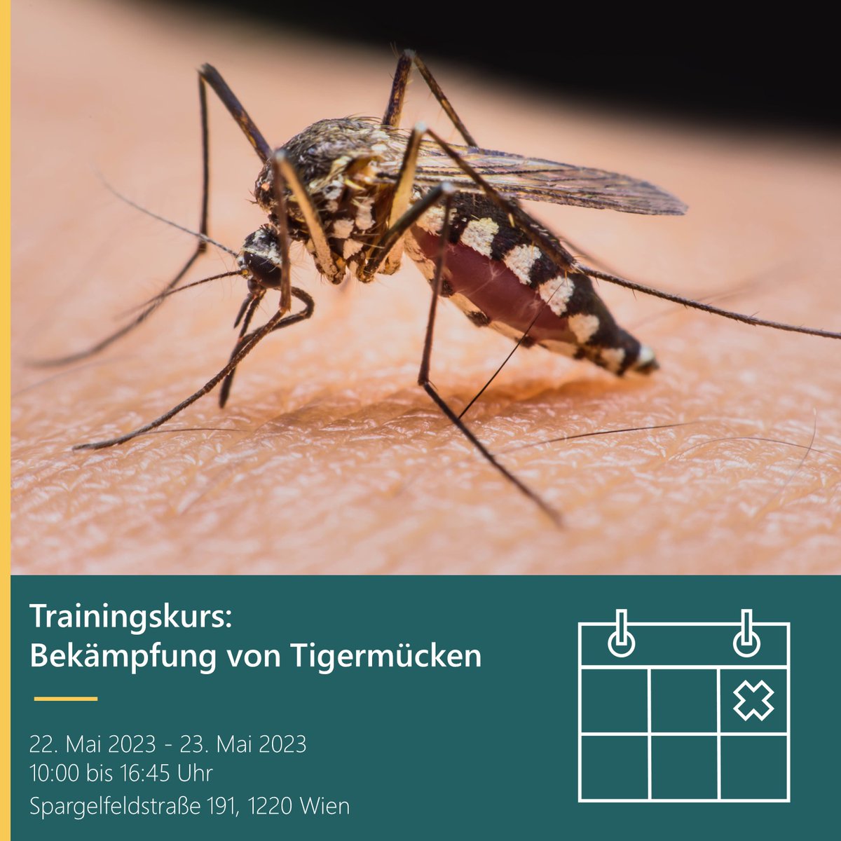 agesnews's tweet photo. Unser #Trainingskurs zum Thema Bekämpfung von Tigermücken in #Österreich, den wir gemeinsam mit der KABS (Kommunale Aktionsgemeinschaft zur Bekämpfung der Schnakenplage) organisieren, gibt einen allgemeinen Überblick über Stechmücken und deren Bekämpfung. https://t.co/FuuuRf68ls https://t.co/F8AneP3s9j