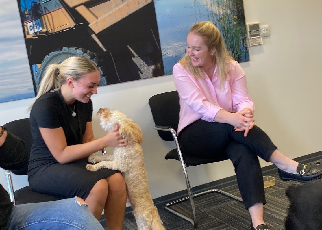 The_Banks_Group's tweet photo. 🐶Mental Health Awareness Week Day Two
Two special visitors from North East Befriending & Pet Therapy Service visited out Meadowfield offices today to show us the power of pet therapy #MentalHealthAwarenessWeek #ToHelpMyAnxiety #DevelopmentWithCare @mentalhealth | @BHAWADurham https://t.co/ZFeHCim2dD