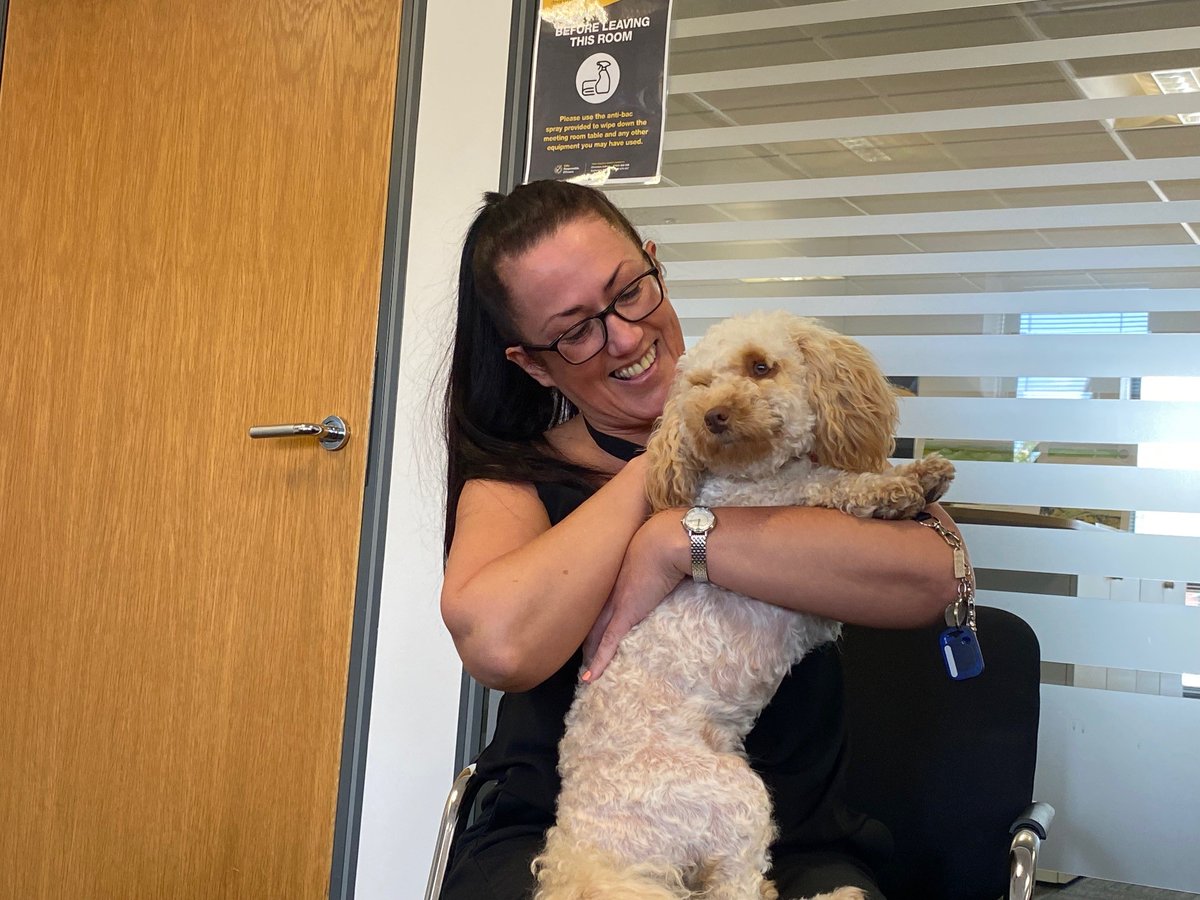 The_Banks_Group's tweet photo. 🐶Mental Health Awareness Week Day Two
Two special visitors from North East Befriending & Pet Therapy Service visited out Meadowfield offices today to show us the power of pet therapy #MentalHealthAwarenessWeek #ToHelpMyAnxiety #DevelopmentWithCare @mentalhealth | @BHAWADurham https://t.co/ZFeHCim2dD