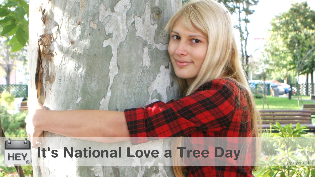 It's National Love a Tree Day! 
#NationalLoveATreeDay #LoveATreeDay #Tree
