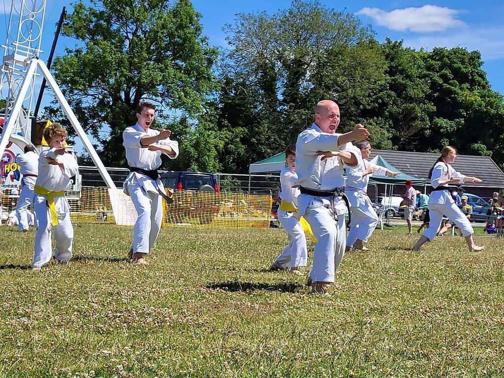 TringShotokan's tweet photo. Tring Shotokan Karate Club has been invited to perform one of our fantastic displays at the Tring Summer Carnival on Saturday the 15th July at Pound Meadow, London Road, Tring.
So that we can begin practicing it is vital to establish numbers of students … https://t.co/TsmLKqUAPR https://t.co/ZdUCadXU18