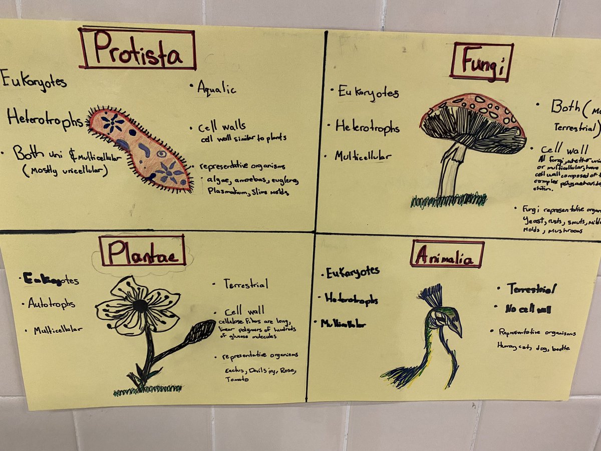 Brookfield HS tweet media