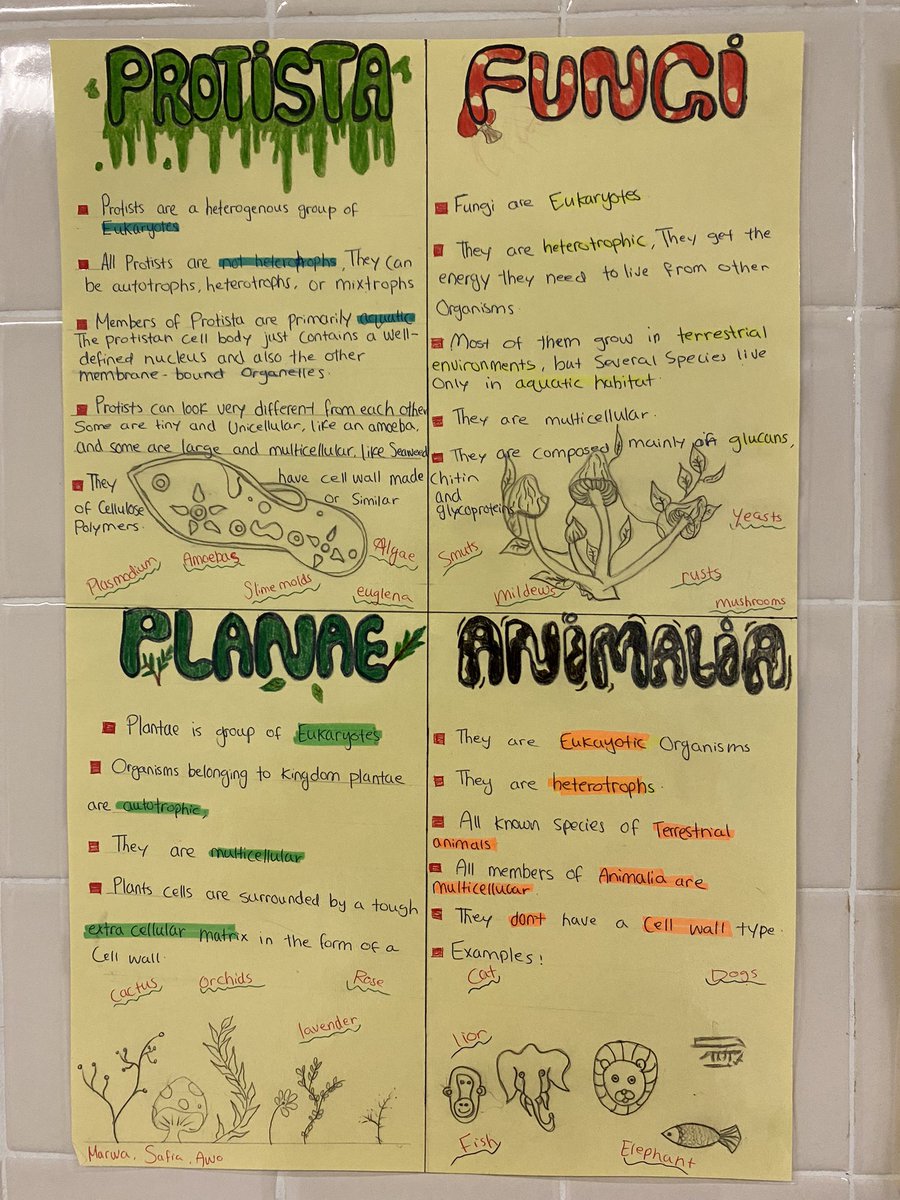 Brookfield HS tweet media