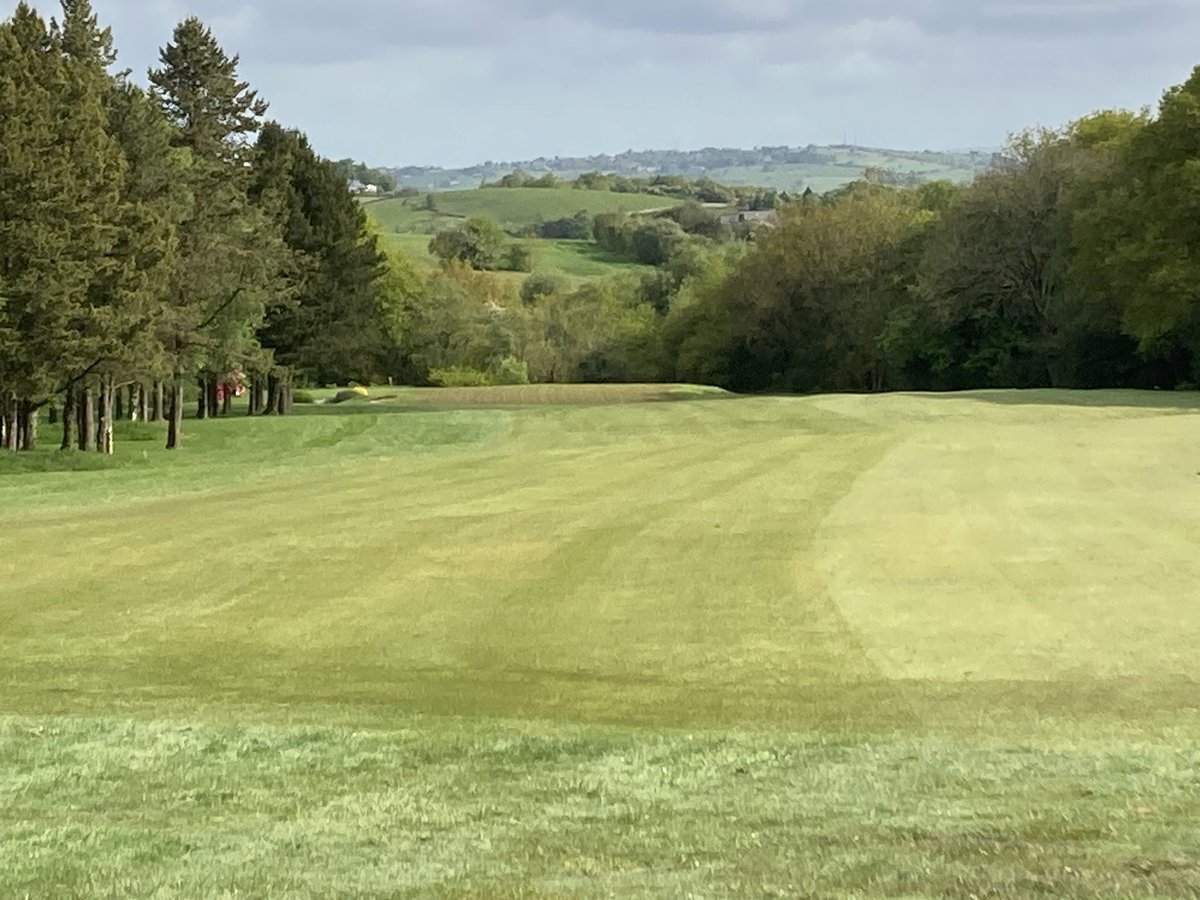 Michael Gibbons tweet media