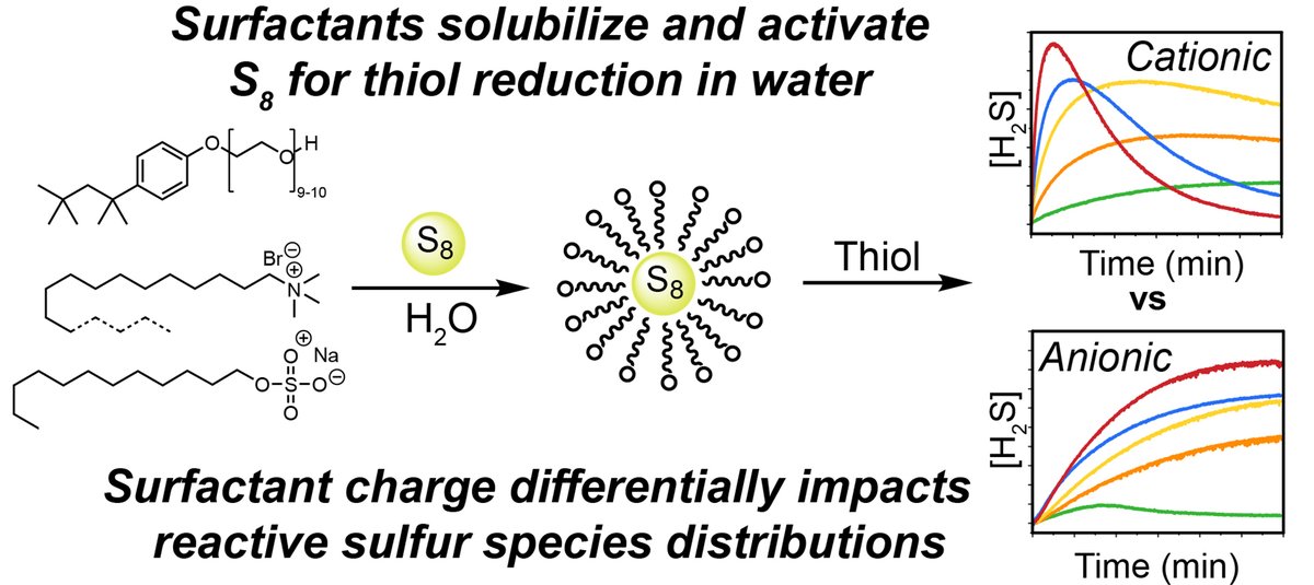 New <a href="/ChemCommun/">Chemical Communications</a> paper from <a href="/ArmanCGarcia/">Arman Garcia</a> on S8 solubilization by surfactants &amp; activation by thiols in water. Key finding: anionic &amp; cationic surfactants differentially impact availability &amp; distribution of anionic reactive sulfur species in solution. pubs.rsc.org/en/Content/Art…