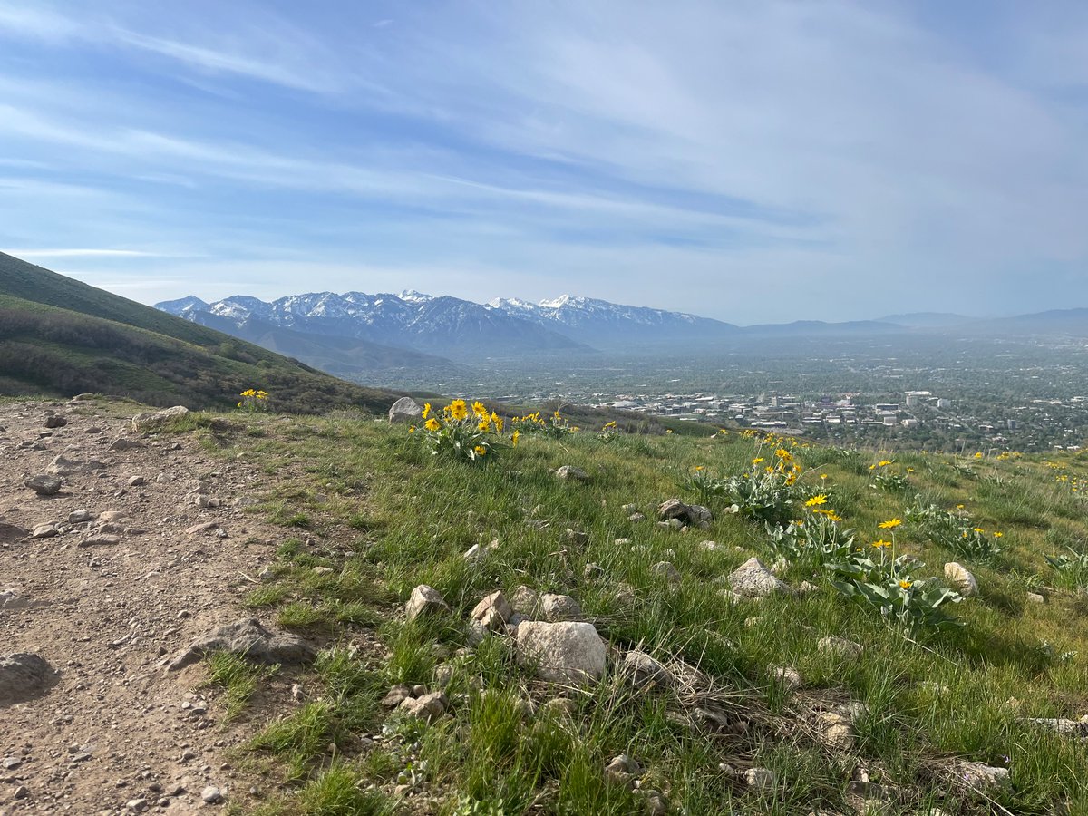 It’s spring around here, and I’m pretty happy about it.
#wasatchlove
🏃‍♀️