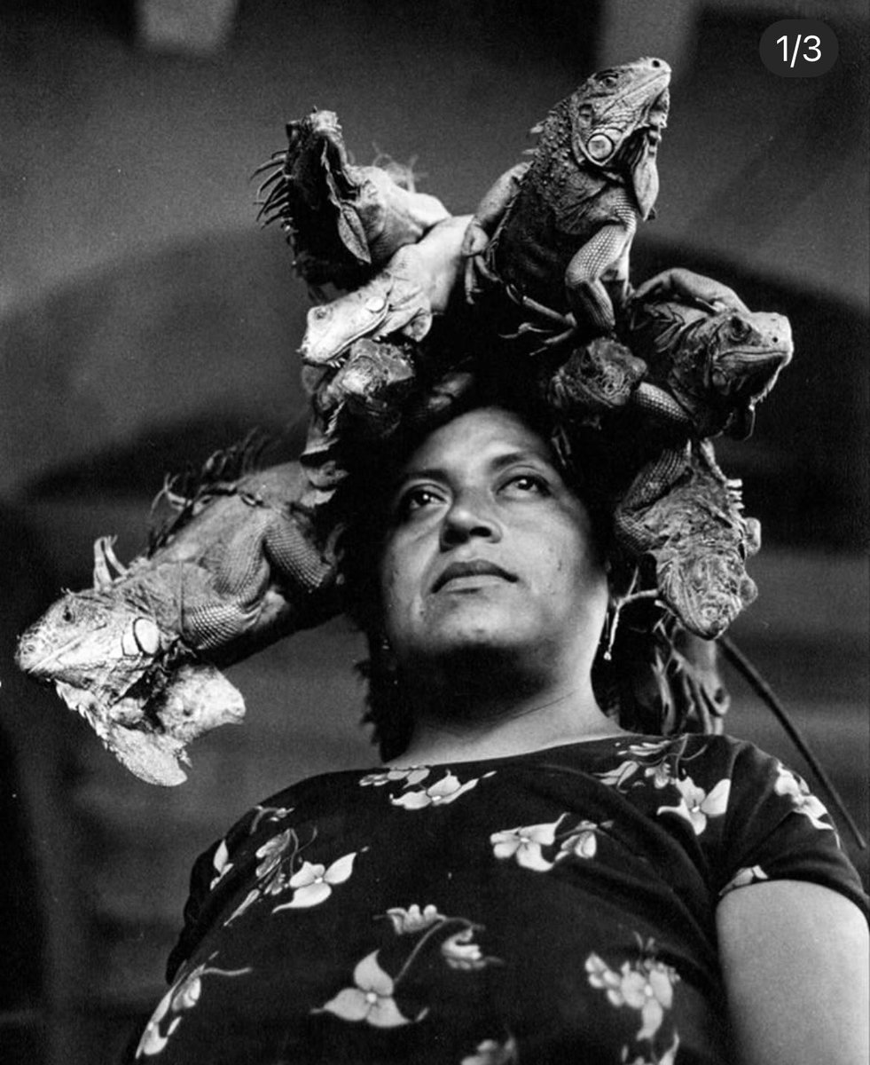 Celebrating outstanding Mexican  photographer Graciela Iturbide’s 81st birthday.
#gracielaiurbide