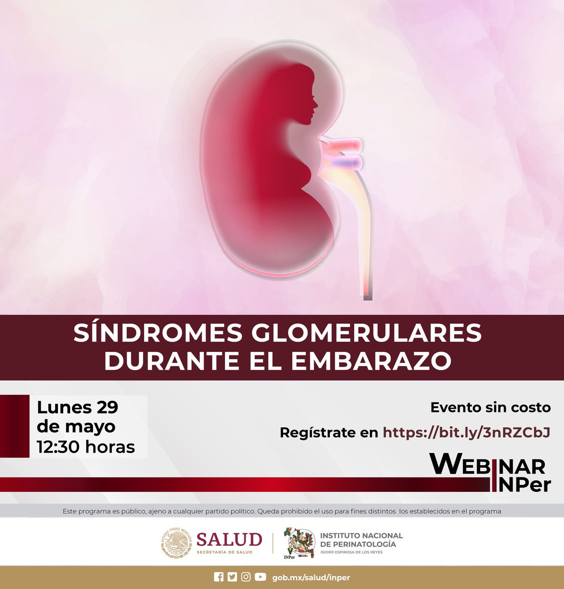 INPer_mx's tweet photo. #WebinarINPer 
#SÍNDROMESGLOMERULARES DURANTE EL #EMBARAZO
https://t.co/r36qr8TFip

COORDINA Y PRESENTA
Dra. Alejandra Orozco Guillén
Nefróloga adscrita a la Unidad de Cuidados Intensivos del Adulto
EVALUACIÓN Y CONSEJERÍA
🧵 https://t.co/PCPLNgz6Aw