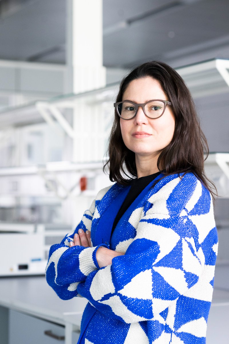 BellinzonaIrb's tweet photo. A new Research Group at the @BellinzonaIrb led by Dr. #CarolineJunqueira, PhD. This will further strengthen the Bellinzona biomedical cluster that is developing around #Biosplus. 
👉https://t.co/S9E5AbLbav

@USI_en #irb #bellinzona #institutes #of #science #humanimmuneresponse https://t.co/u3kXOxDQFN
