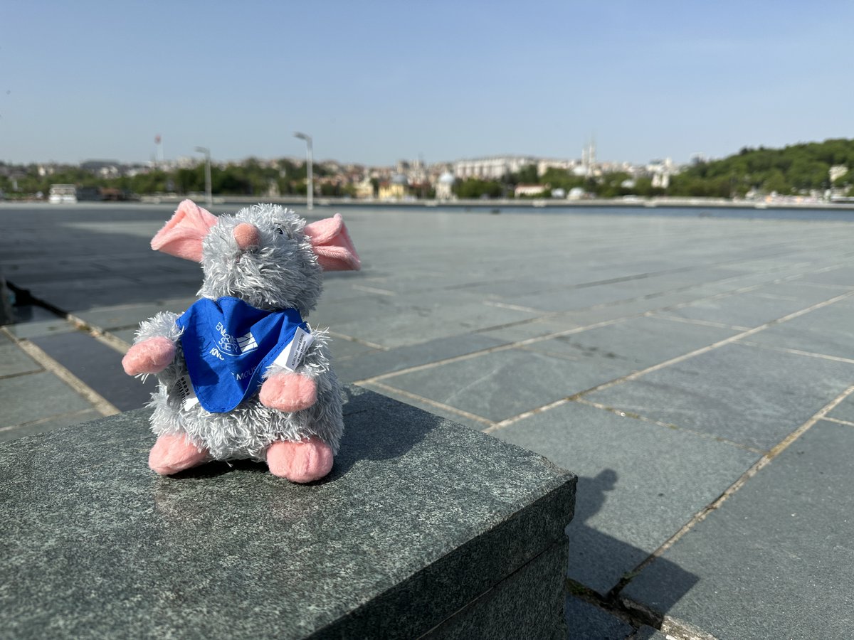 TheEndoSociety's tweet photo. Even if you missed us at our #ECE2023 booth, you can still take advantage of our 20-month membership offer (https://t.co/IufWdQrYa7) and online store products, including our jet-setting knockout mouse (https://t.co/rbbej5exew). @ESEndocrinology https://t.co/Eqx6g67ynX