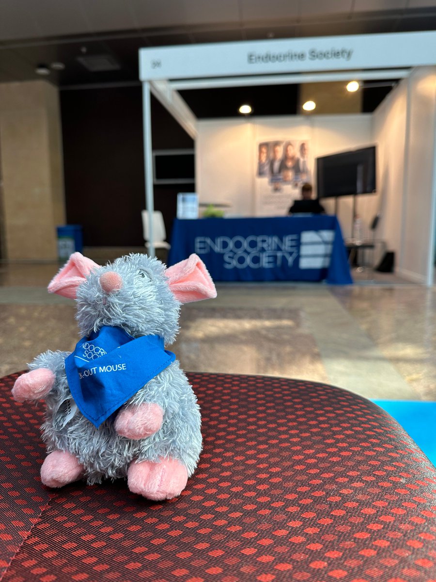 TheEndoSociety's tweet photo. Even if you missed us at our #ECE2023 booth, you can still take advantage of our 20-month membership offer (https://t.co/IufWdQrYa7) and online store products, including our jet-setting knockout mouse (https://t.co/rbbej5exew). @ESEndocrinology https://t.co/Eqx6g67ynX