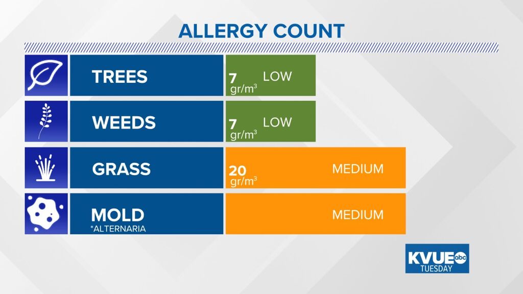 Austin Allergies tweet media