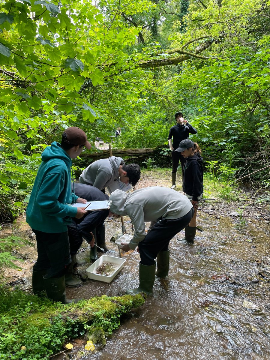 WhitgiftSchool1's tweet photo. Lower Sixth IB Biology students are at @FSCSlaptonLey in Devon, exploring biodiversity in ancient and young woodlands as well as investigating agricultural pollution in freshwater ecosystems through invertebrate surveys. #WhitgiftScience https://t.co/1GGRECsxBT