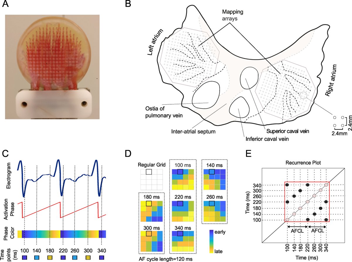 PersonalizeAF tweet media