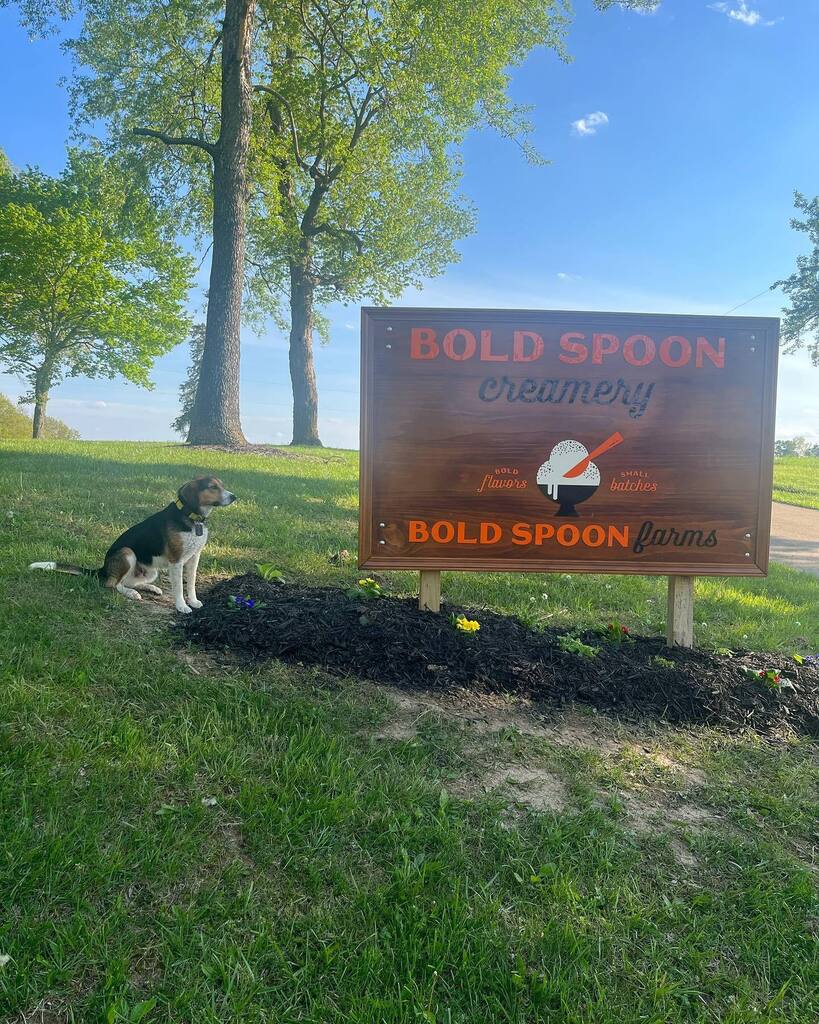 Bold Spoon Creamery tweet media