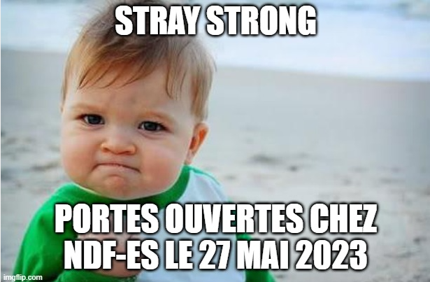ndf_es's tweet photo. Rendez-vous le 27 mai dans les locaux NDF-ES situés au 11 A rue du Casino à Freyming-Merlebach de 09h00 à 16h00 pour échanger sur les études postbac et l'alternance ! https://t.co/f8UbMjRgD4