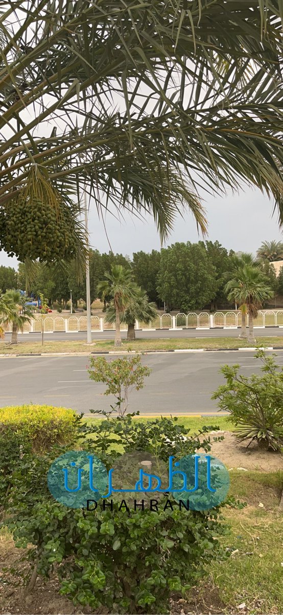 الظهران tweet media