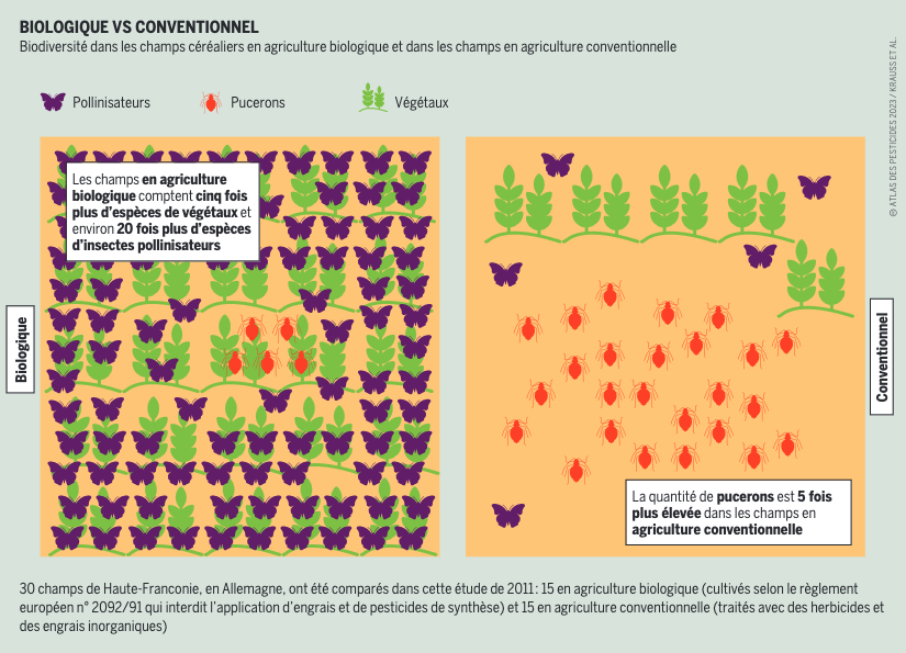Collectif Nourrir tweet media