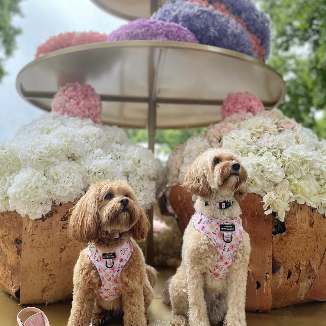 Sloane Street tweet media