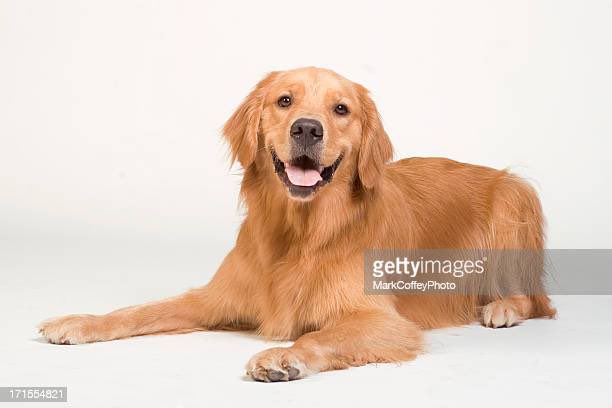 “I’ve got that dawg in me”

The dawg in question: