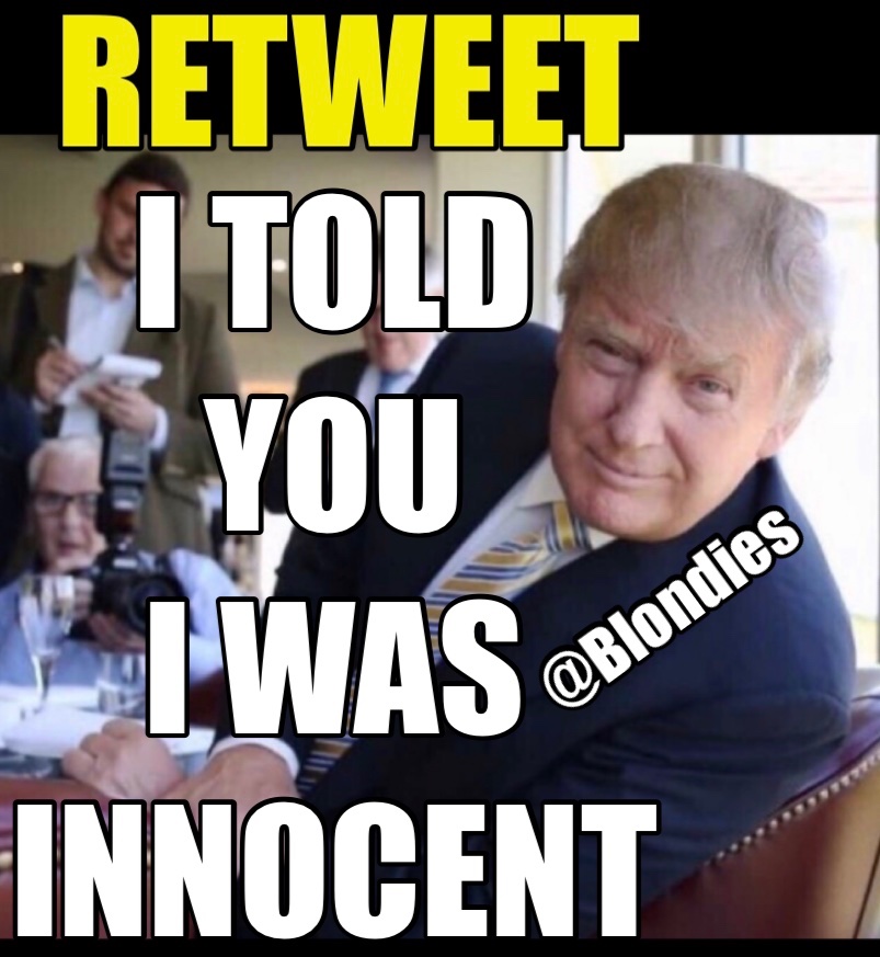 heyitsmeCarolyn's tweet image. WE THE PEOPLE who voted for you knew it 🇺🇸