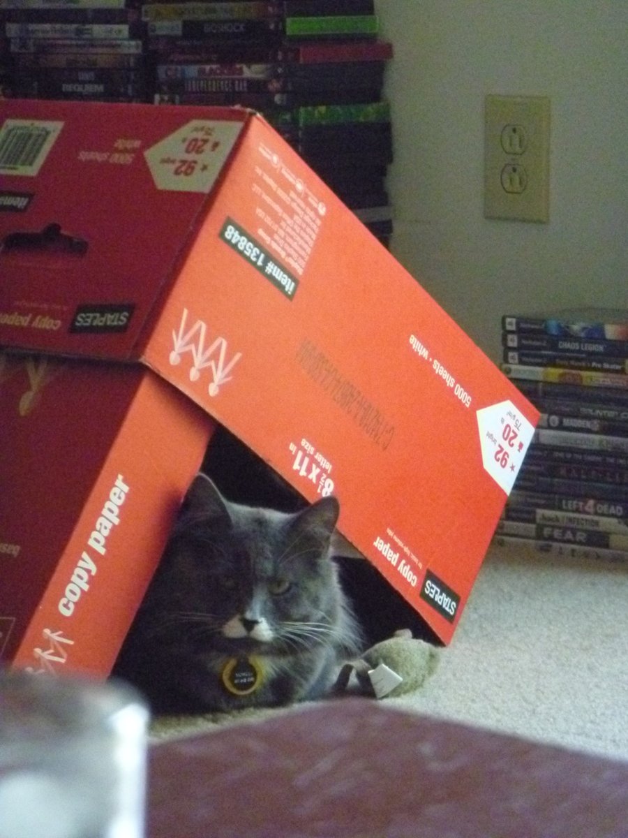 We are all inclined to judge ourselves by our ideals; others, by their acts.
- Harold Nicolson
#cats #CatsOfTwitter