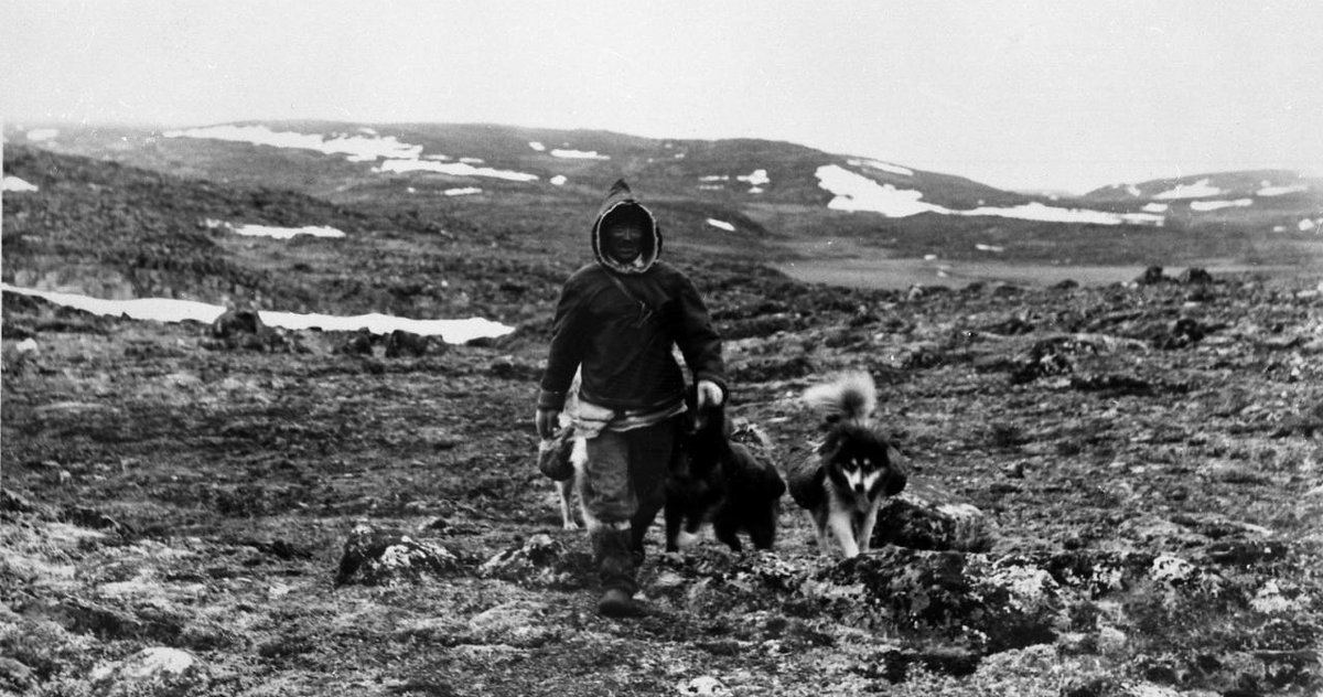 IsumaTV's tweet photo. Beautiful images from #Kangiqsujuaq in the 1960s courtesy of Bernard Saladin d'Anglure, #Avataq Cultural Institute, Virtual Museum project: https://t.co/VKj88tLtoe
#nunavik #beluga #inuit #inuithistory #avataq #inuitculture https://t.co/QTA3QqtetX