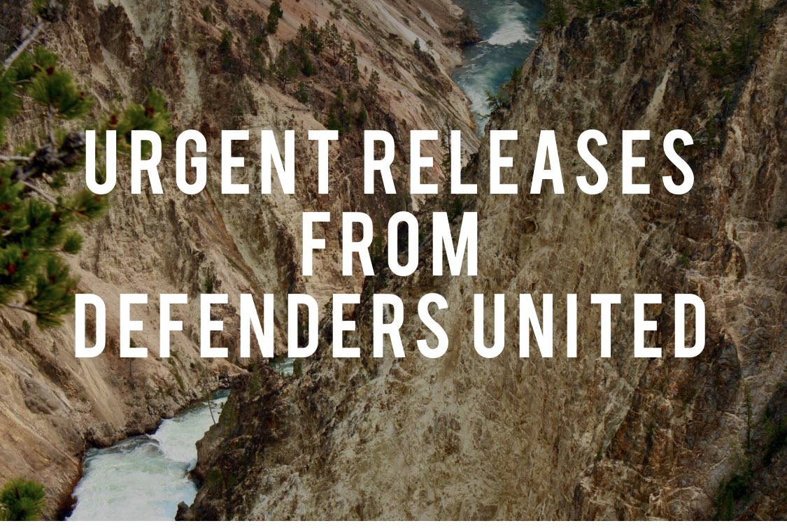 Defenders United tweet media