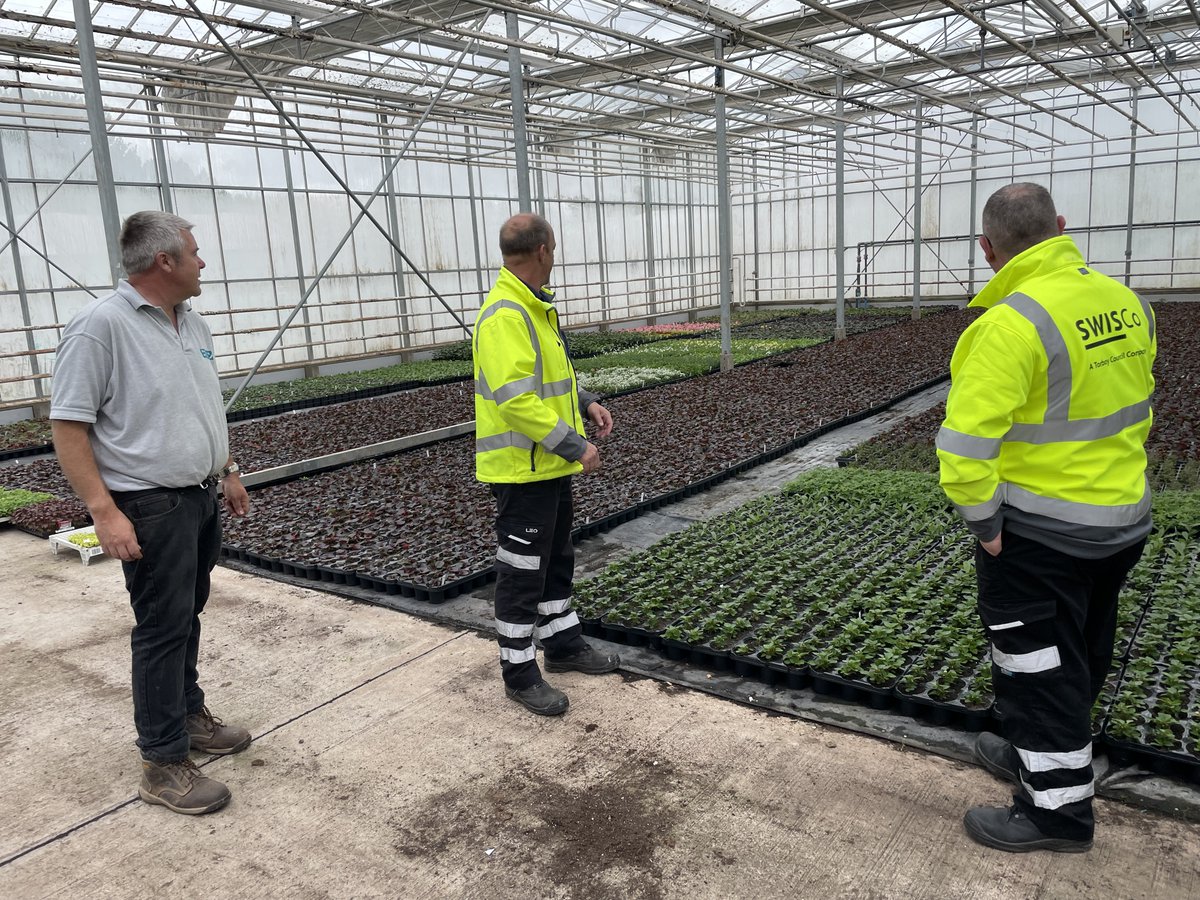 SWISCoLtd's tweet photo. Our team checking on the swathes of summer bedding being grown - soon to decorate The Bay #beautifulTorbay https://t.co/qT2tSm4SWg