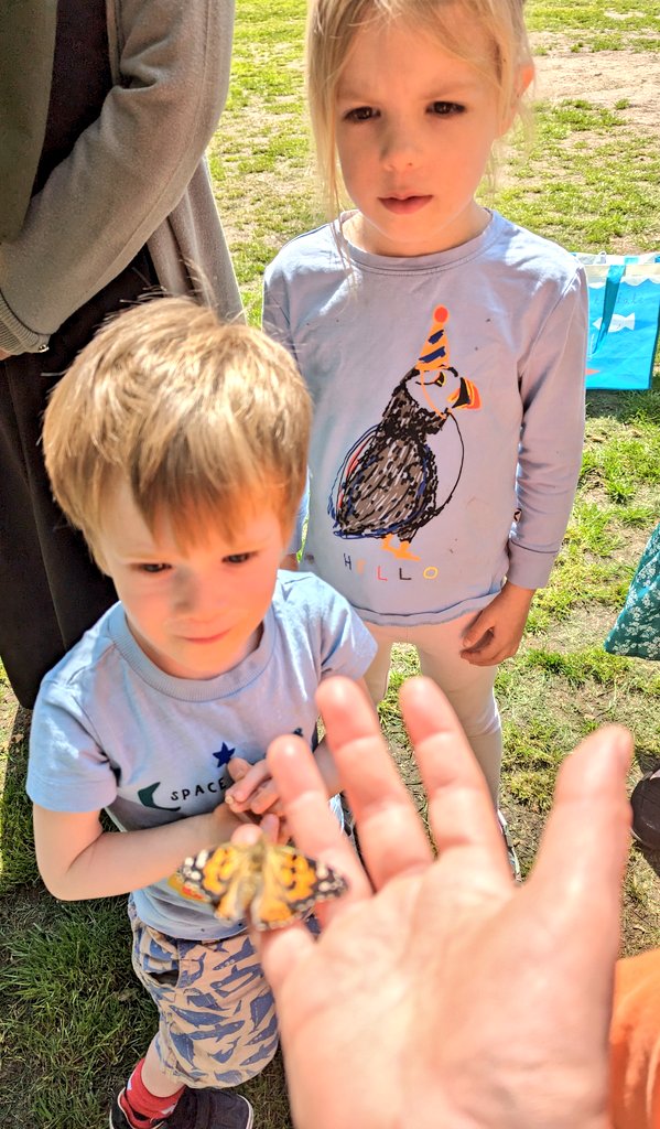 The butterflies didn't want to leave their home and needed a helping hand...