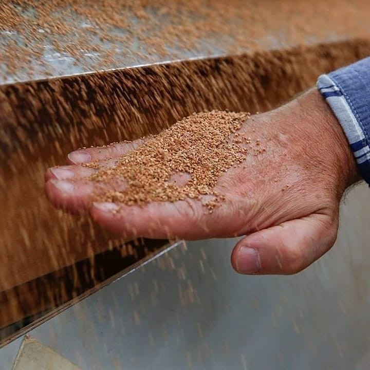 VINC Corchos técnicos libres de TCA 👉🏻 Controlamos el 100% de los lotes de granulado.