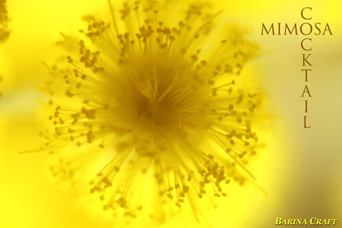 Cheers to National Mimosa Day!  Is it time for brunch yet? .. buff.ly/3yBBOvS  #NationalMimosaDay #mimosa #brunch #cocktails #drinks #oj #champagne