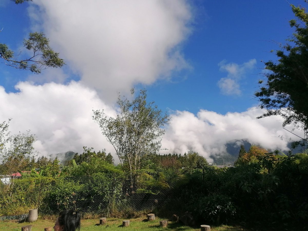 PhilipSbd's tweet photo. Ti partaz pou zot #GrdCoude #StJo #MaisonDuThé #Run 🇷🇪 https://t.co/sjSHUR4WJZ