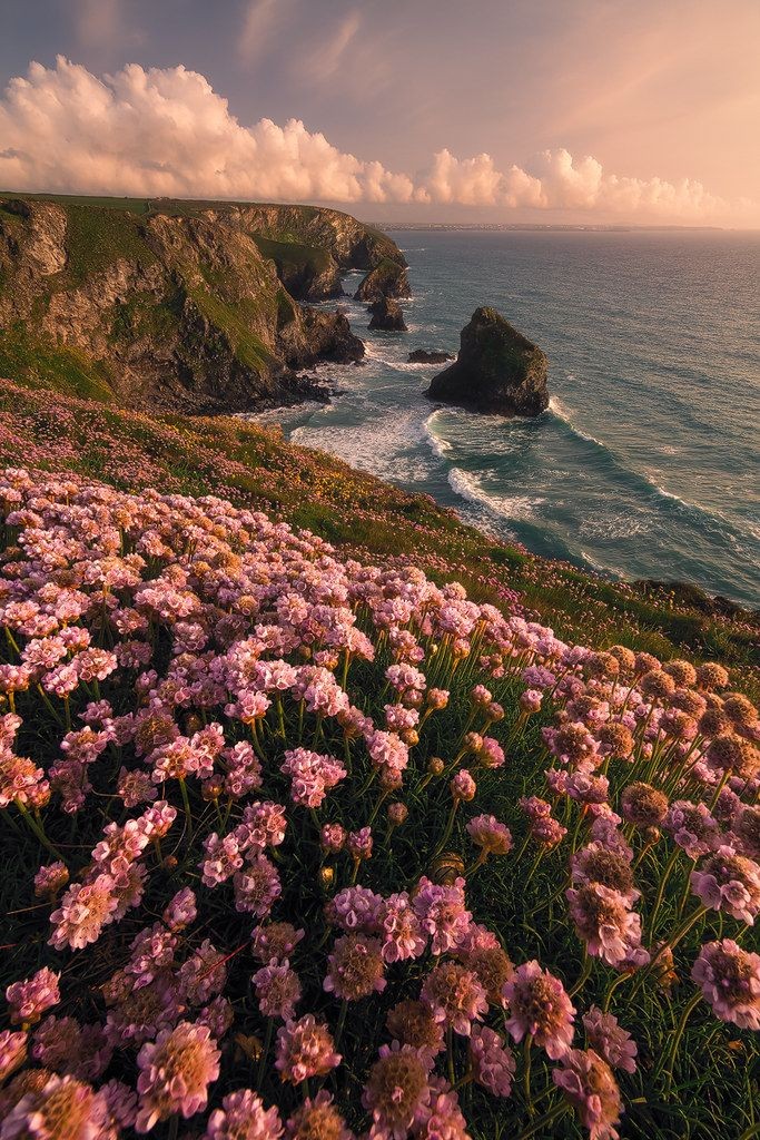 luckyflorals's tweet photo. relaxing https://t.co/f9OVdi4PJO