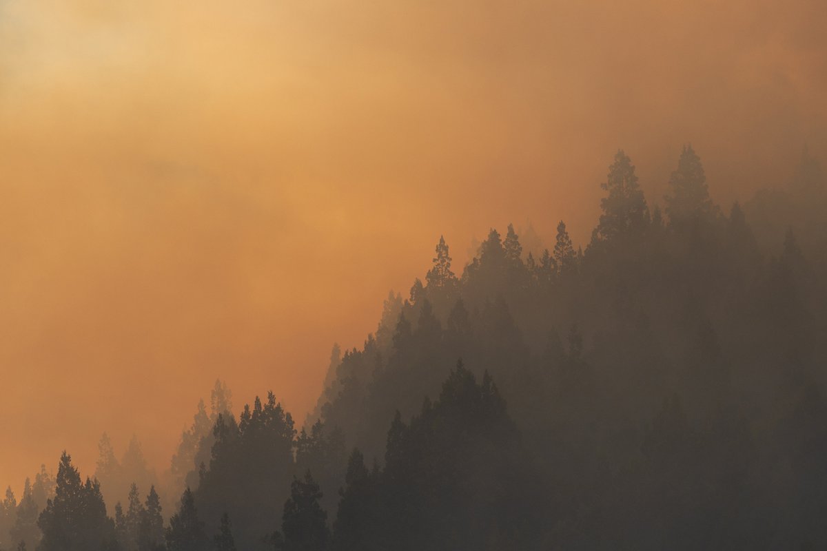 Alberta Health Services on Twitter "Is wildfire smoke a problem in