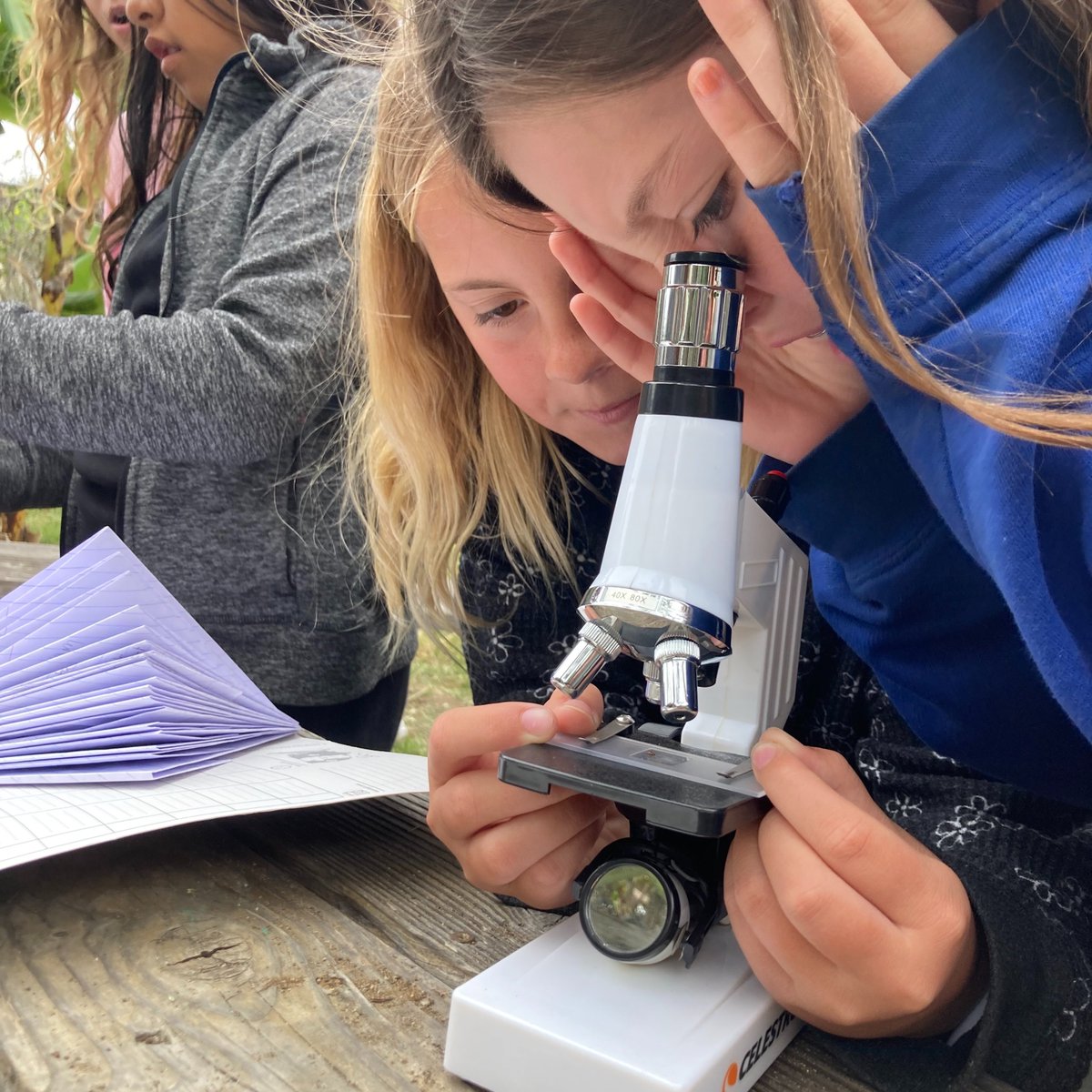 pqroadrunner's tweet photo. Do you know why insects have spiracles and compound eyes? Ask a Palmquist Roadrunner! @pqroadrunner #DestinationOside #FarmLab https://t.co/127jLsTzqT