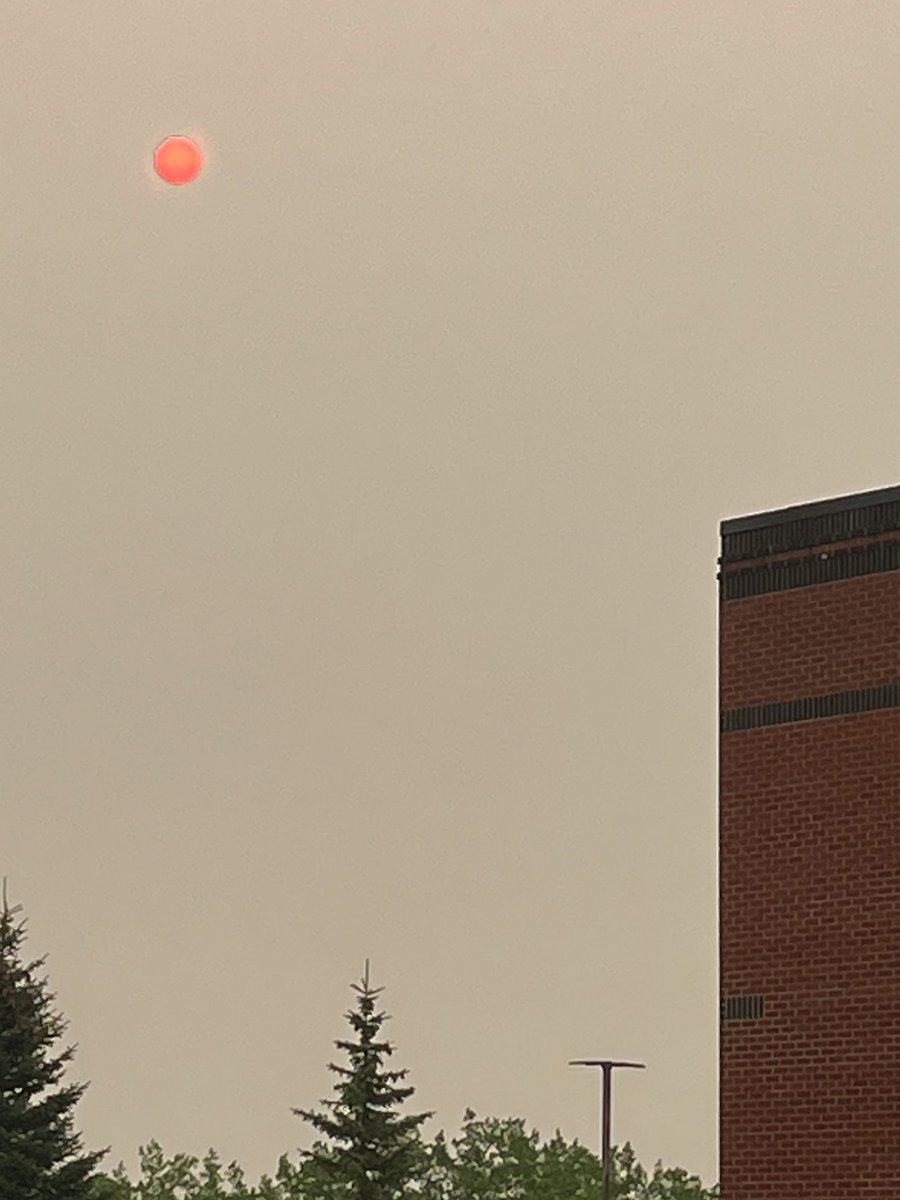 Leanne Shirtliffe tweet media