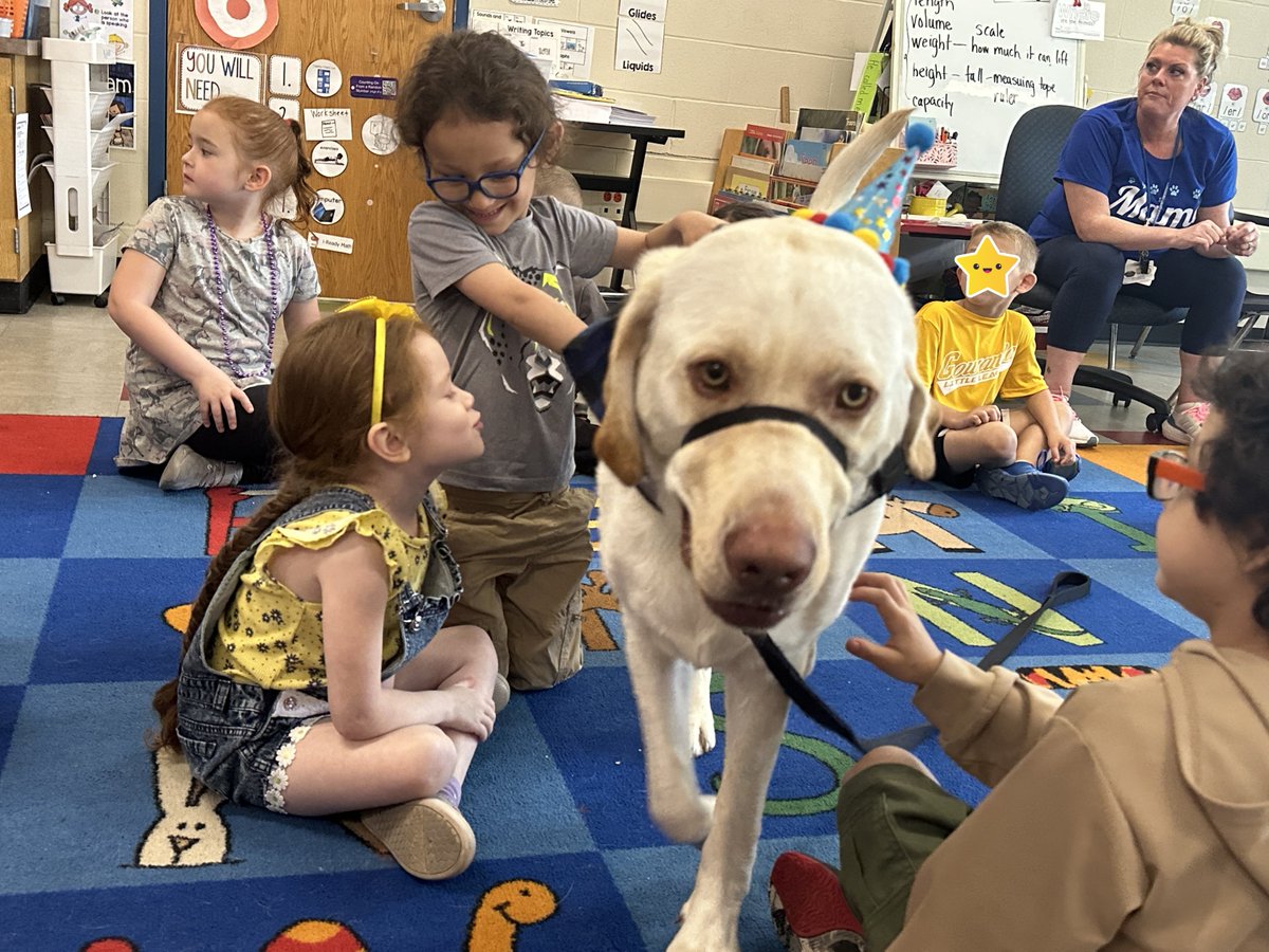 GowandaCSD's tweet photo. 𝗛𝗔𝗣𝗣𝗬 𝗖𝗔𝗠𝗣𝗘𝗥𝗦: The Kindergarten team at Gowanda Elementary facilitated a fun and informative CAMP READ-A-LOT on Friday, May 12, 2023.
#wearegowanda #pantherpride #campreadalot #literacymatters @NYSLibrary @CarrieDzierba @TheObserverNY @NYSEDNews @DrAGHSPrincipal https://t.co/JC3ZVgy6BG