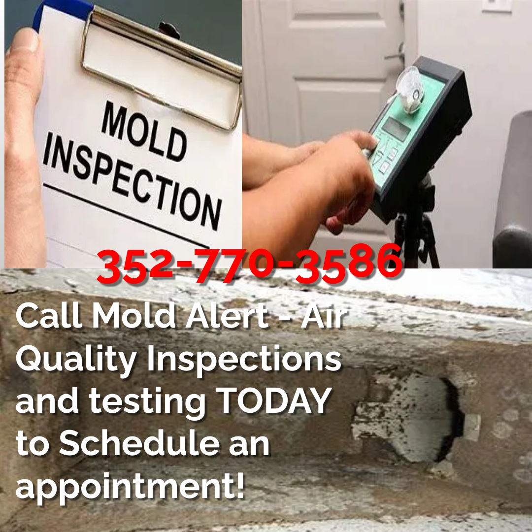 MoldAlertFL's tweet image. Have you had your ducts tested for mold? Give us a call today to schedule your appointment! Get it taken care of quicker with same day answers!