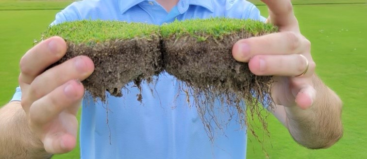 These root knot nematode research samples were taken from the University of Florida, showing Zelto® + Crescendo® performance on the right and the untreated check on the left. Learn more about this spray program for nematode control and turf health: loom.ly/lMqQeHU