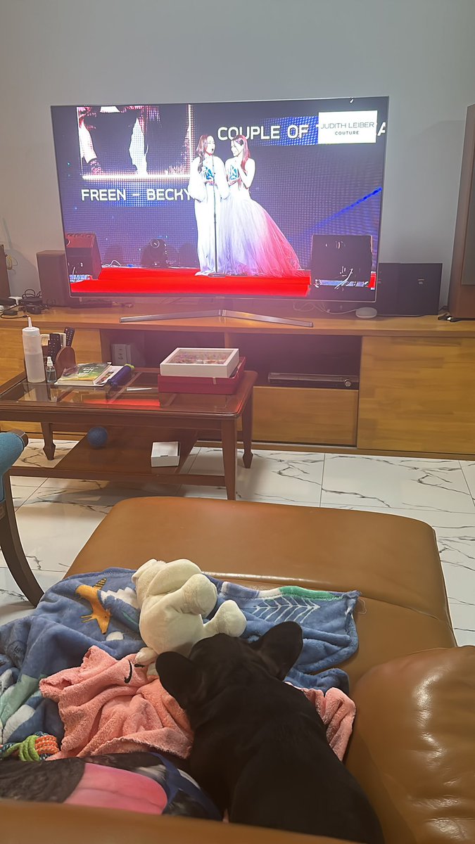 RichieArms22178's tweet photo. Bonbon so proud 🥺🥺 https://t.co/LR1YIHkQTm