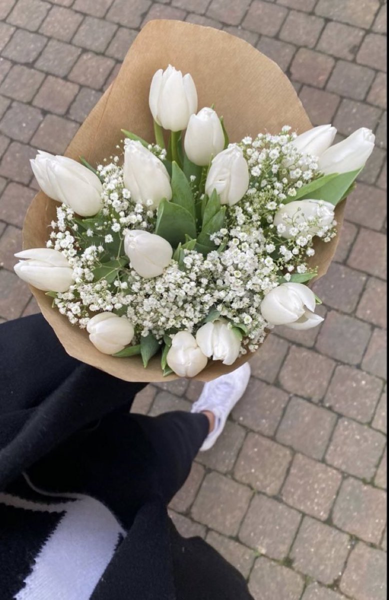 EthanGrowth's tweet photo. white tulips https://t.co/lwiM0Yr05L
