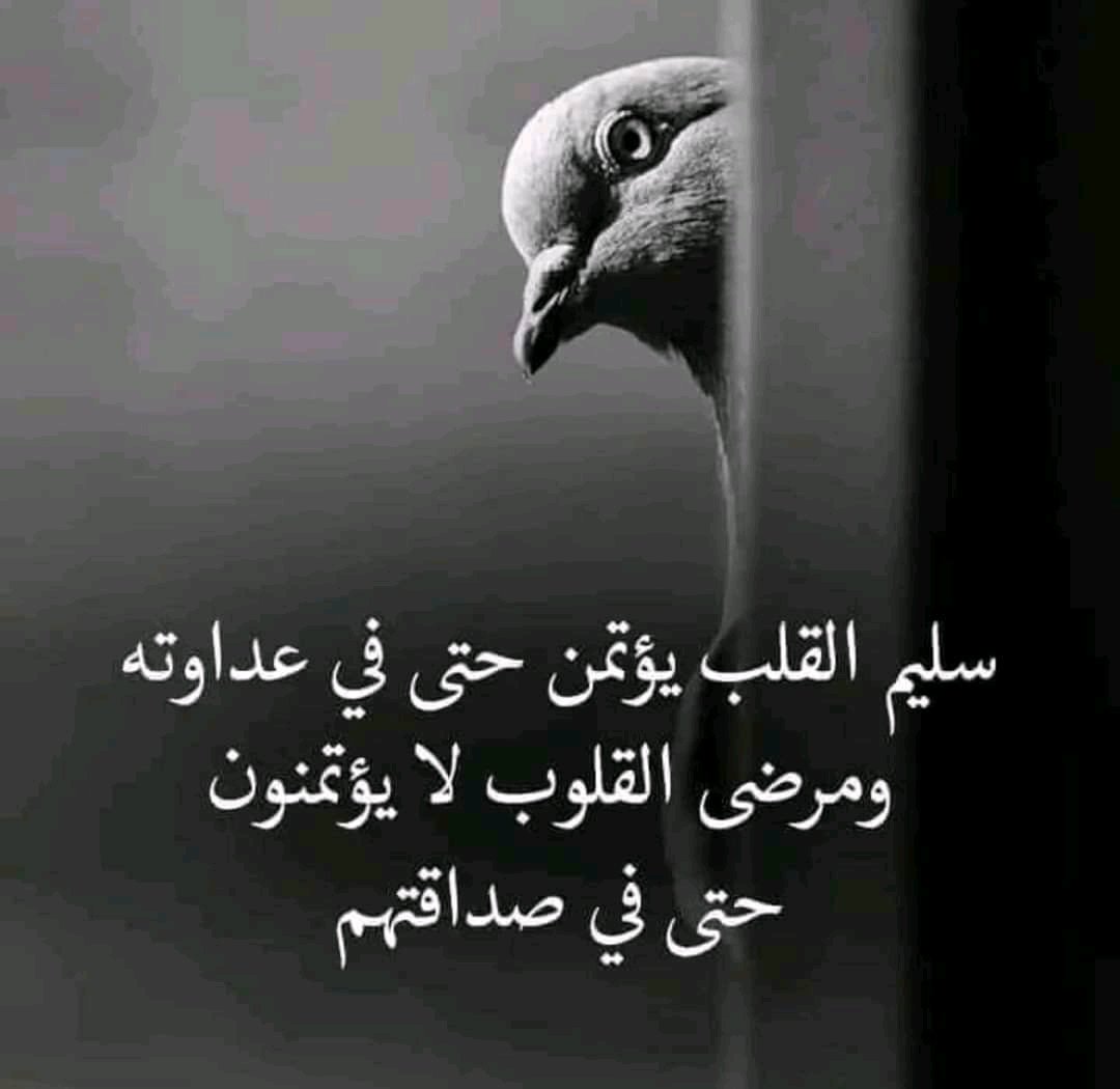 Mhmd fargaly22K👌 (@mhmdd1970) on Twitter photo 