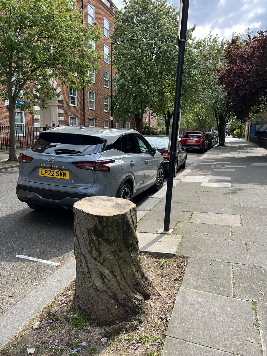 Why have we lost this mature tree on Broadley Street @CityWestminster @ChurchStLabour ? 

#churchstreet