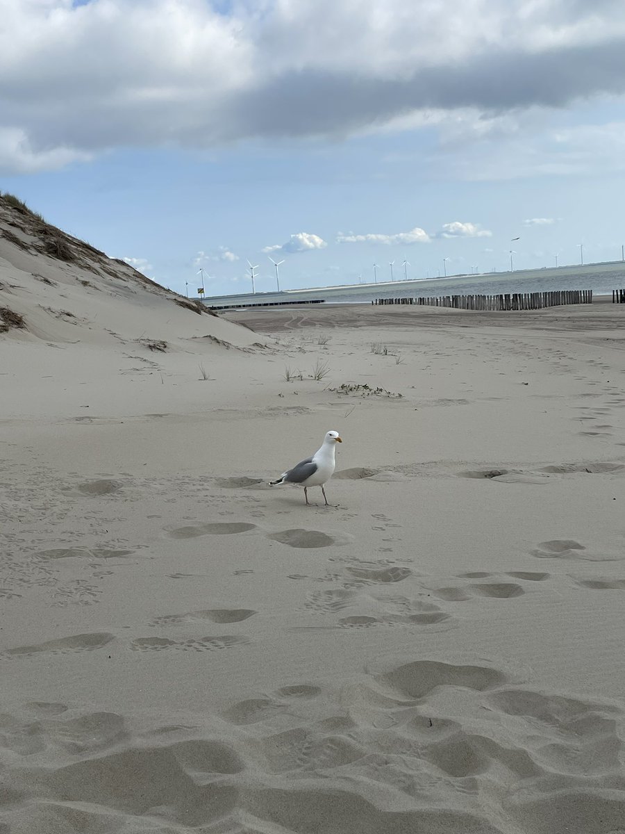 Zeit zum Aufbruch. Ups! Das ging jetzt doch schnell. Blick nach vorn, Blick nach links… Tschüss Nordsee, bis morgen!❤️