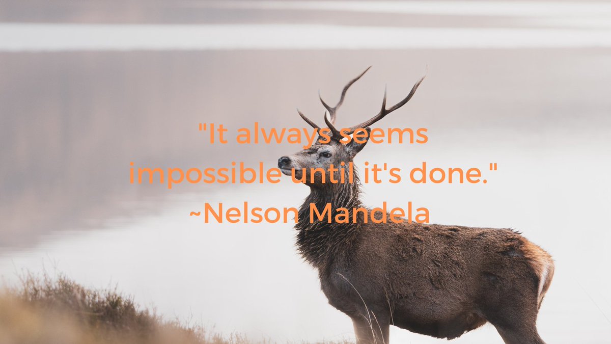 EnuelW's tweet photo. "It always seems impossible until it's done." ~Nelson Mandela 

#amwriting #writingcommunity #amwritingfiction #aspiringauthor #crimewriter #thrillerwriters #readcrimefiction #write #thriller #mystery #whodunnit #writerslife #WIP #blogger #Read #bookstagram #readingaddict @EnuelW https://t.co/VqkxwCPhD9